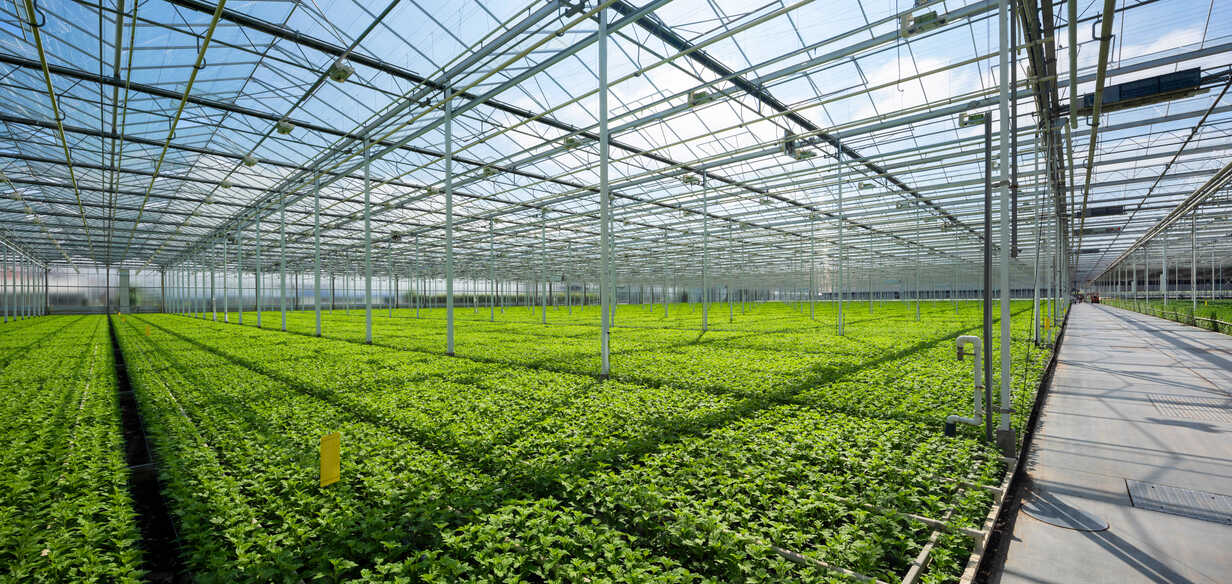 Grow House Solutions